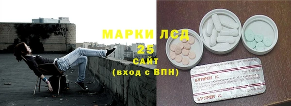 прущие грибы Белокуриха