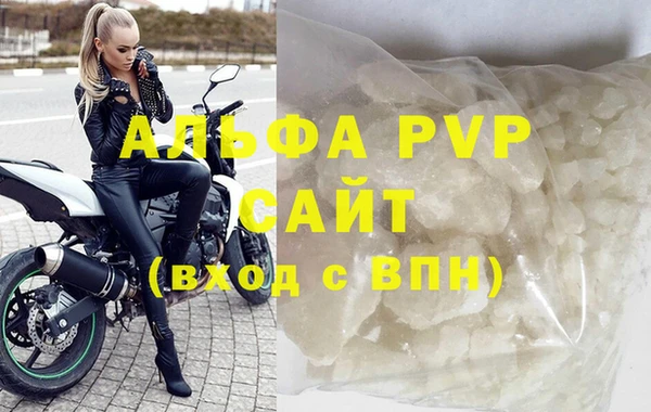 прущие грибы Белокуриха
