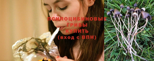 стаф Белоозёрский