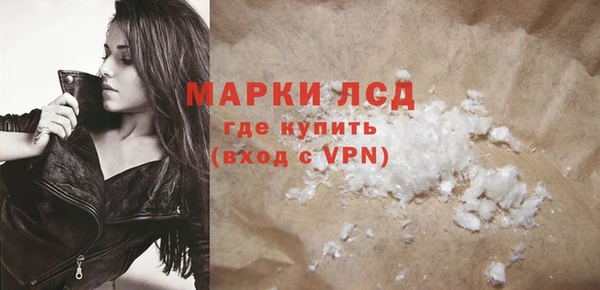 прущие грибы Белокуриха