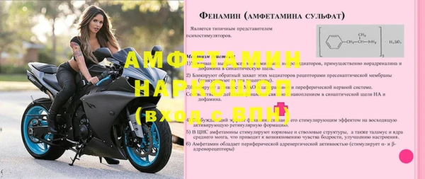 прущие грибы Белокуриха